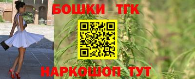 тгк Будённовск