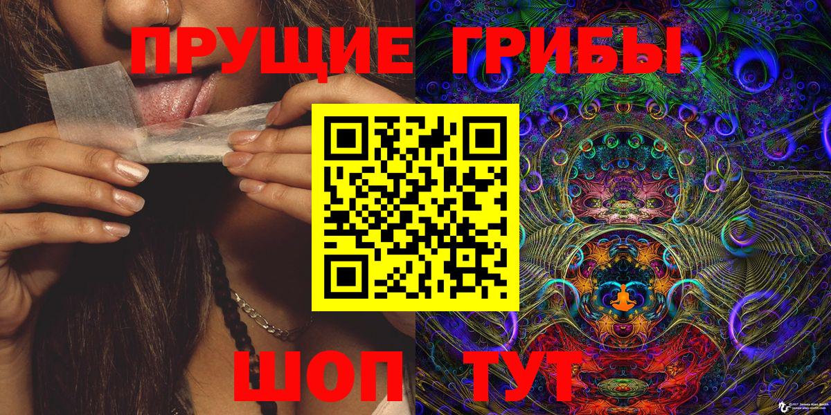 Галлюциногенные грибы Psilocybine cubensis  Вход с VPN  Сарапул 