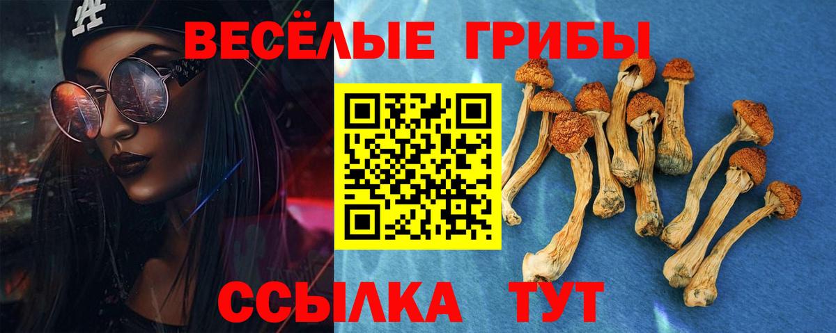 Галлюциногенные грибы Psilocybe Сарапул